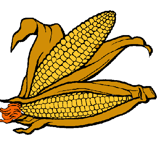 Dibujo de Mazorca de maíz pintado por Brayanquino9 en Dibujos.net ...