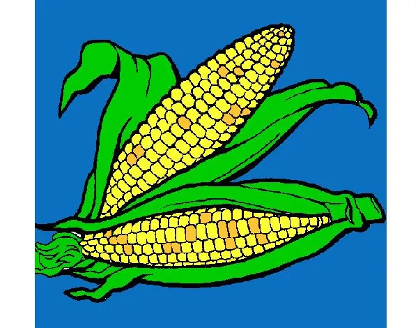 Dibujo de Mazorca de maíz pintado por Elebagon en Dibujos.net el ...