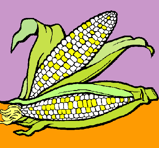 Dibujo de Mazorca de maíz pintado por Elote en Dibujos.net el día ...