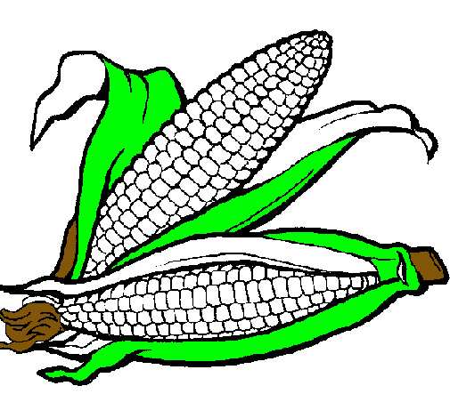 Dibujo de Mazorca de maíz pintado por Lourdes_mendoza en Dibujos ...
