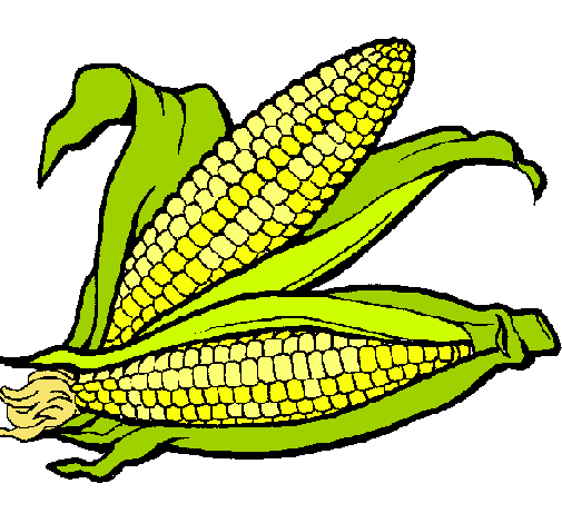 Dibujo de Mazorca de maíz pintado por Marisole en Dibujos.net el ...