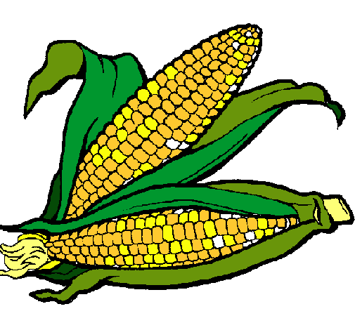 Dibujo de Mazorca de maíz pintado por Mazorca en Dibujos.net el ...