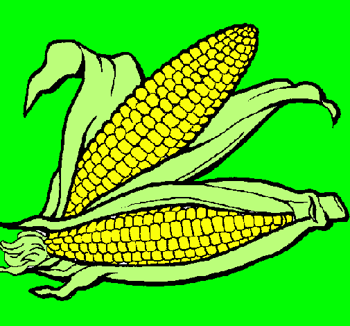 Dibujo de Mazorca de maíz pintado por Migl en Dibujos.net el día ...