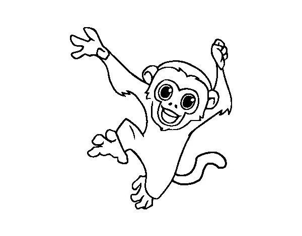 Dibujo de Mono capuchino bebé para Colorear - Dibujos.net
