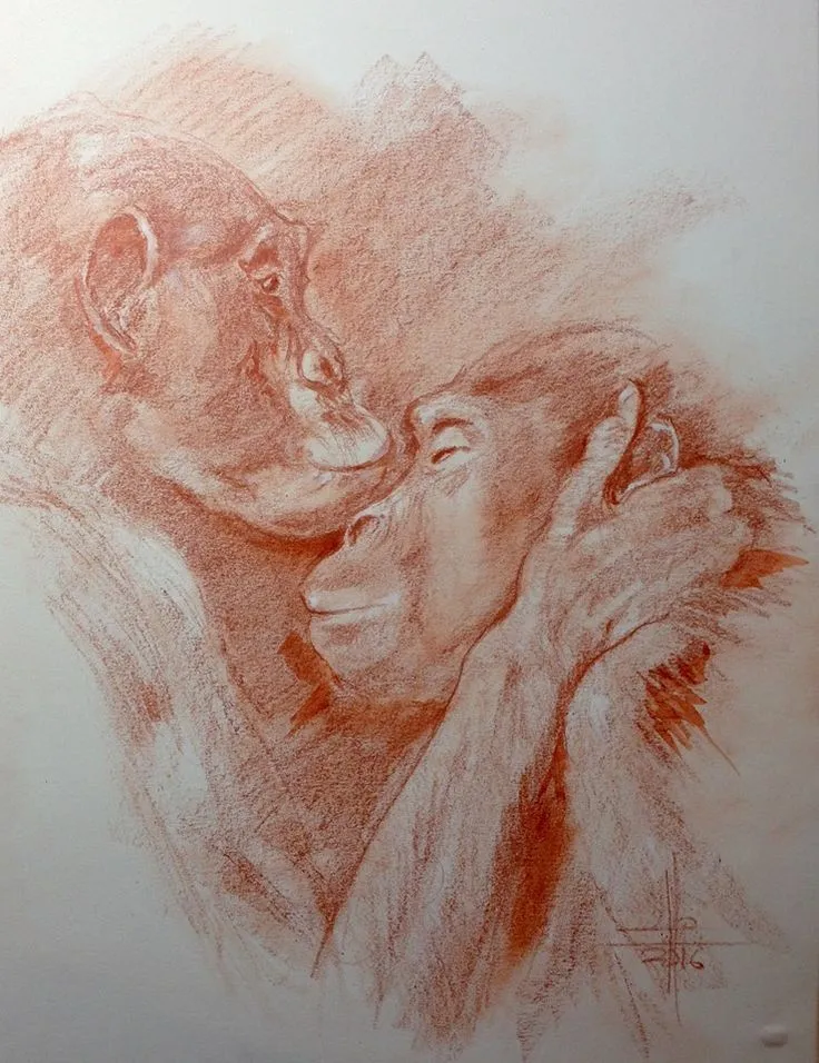 Dibujo de dos monos besándose a sanguina | Dibujos realistas, Dibujos de  animales, Dibujos