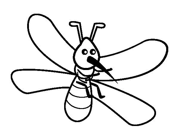 Dibujo de Mosquito con grandes alas para Colorear - Dibujos.net