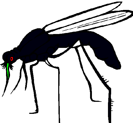 Dibujo de Mosquito pintado por Alfredo en Dibujos.net el día 15-12 ...