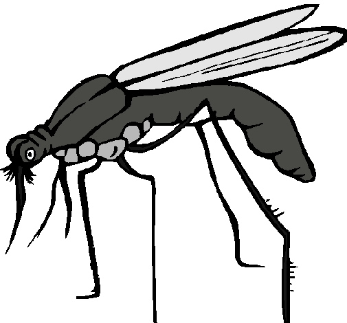 Dibujo de Mosquito pintado por Annyttta en Dibujos.net el día 21 ...