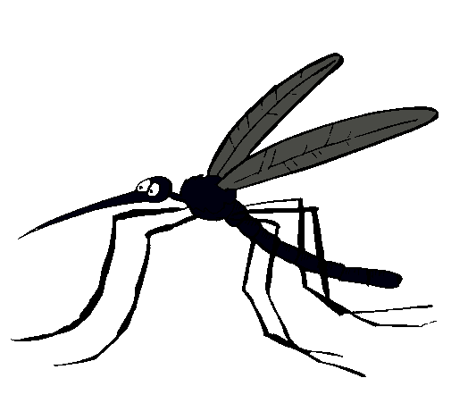 Dibujo de Mosquito pintado por Artesus en Dibujos.net el día 15-02 ...