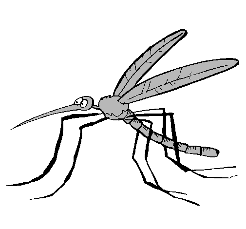 Dibujo de Mosquito pintado por Cholo en Dibujos.net el día 08-02 ...