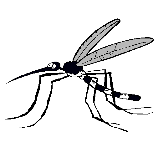 Dibujo de Mosquito pintado por Hoctavio en Dibujos.net el día 21 ...