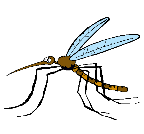 Dibujo de Mosquito pintado por Maria fernanda en Dibujos.net el ...