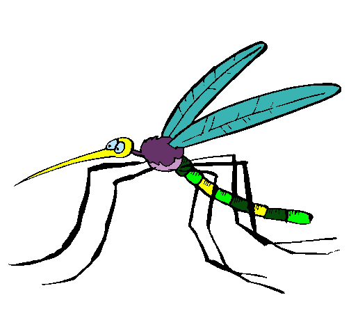 Dibujo de Mosquito pintado por Perico en Dibujos.net el día 12-11 ...