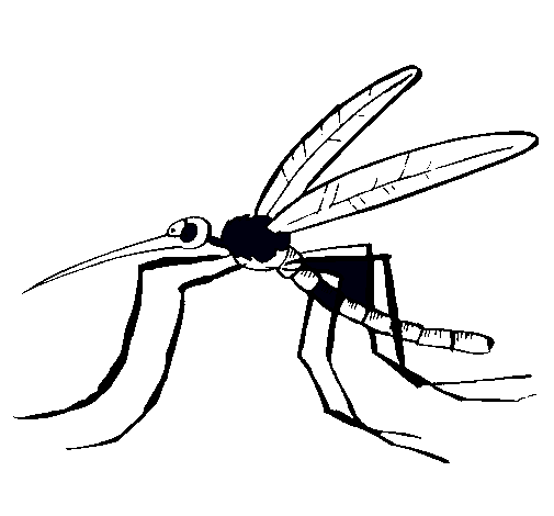 Dibujo de Mosquito pintado por Slvio en Dibujos.net el día 18-03 ...
