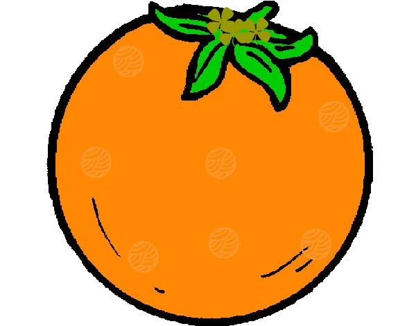 Dibujo de naranja pintado por Maryquilla en Dibujos.net el día 24 ...