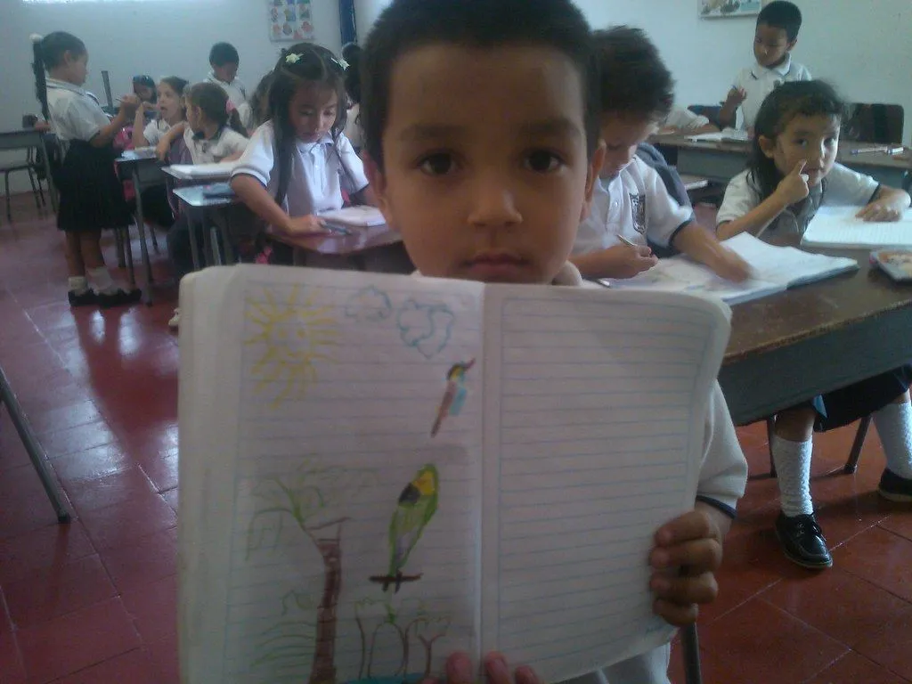 Dibujo con niños de Primero Tema: Palma de Cera y el Loro … | Flickr