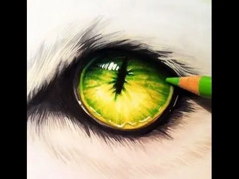 dibujo ojo de lobo - YouTube
