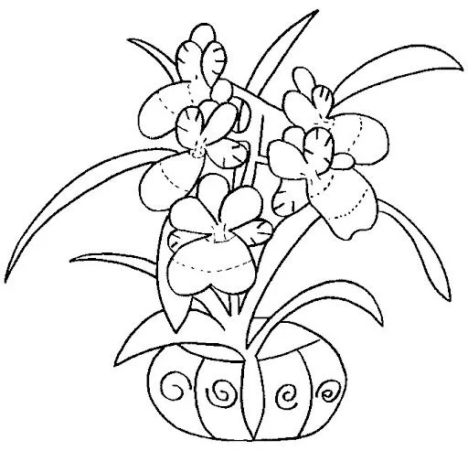 Dibujo orquidea para colorear - Imagui