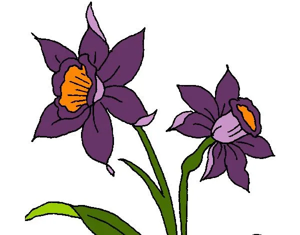 Dibujo de orquideas hermosas pintado por Chaz en Dibujos.net el ...