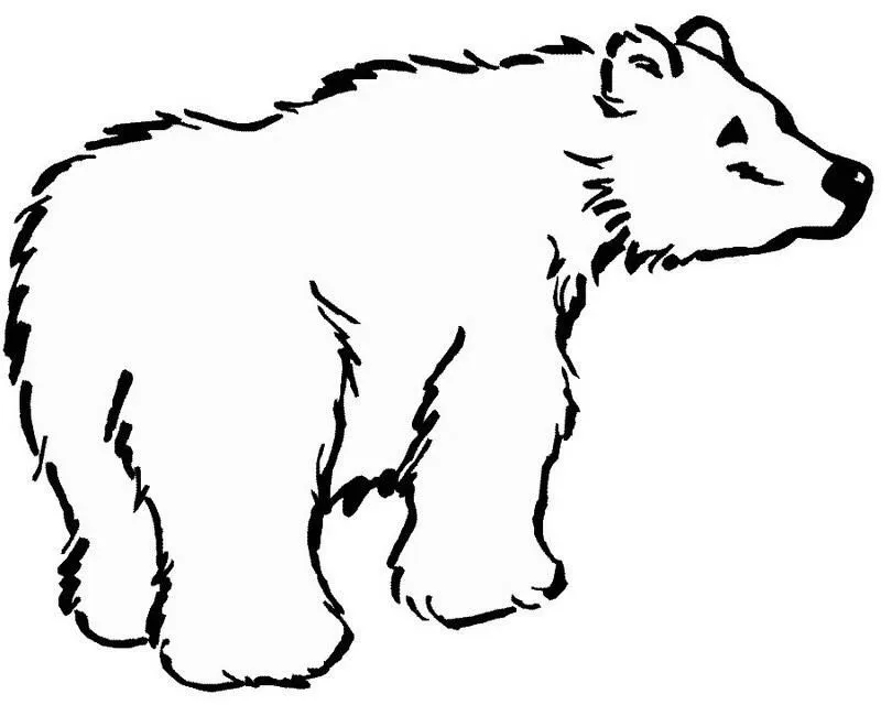 Dibujo de oso frontino para colorear - Imagui