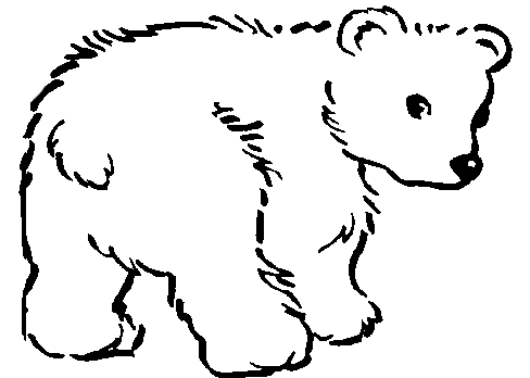 Dibujo de oso frontino para colorear - Imagui