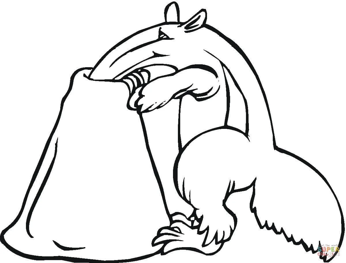 Dibujo de Oso Hormiguero buscando comida para colorear | Dibujos ... Dibujo de Oso Hormiguero buscando comida para colorear | Dibujos ...