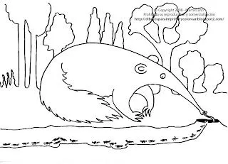 Dibujos para imprimir y colorear gratis para niños: Dibujo de un oso ... Dibujos para imprimir y colorear gratis para niños: Dibujo de un oso ...