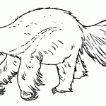 Dibujo de oso hormiguero para colorear | Dibujos de Osos para Pintar ... Dibujo de oso hormiguero para colorear | Dibujos de Osos para Pintar ...