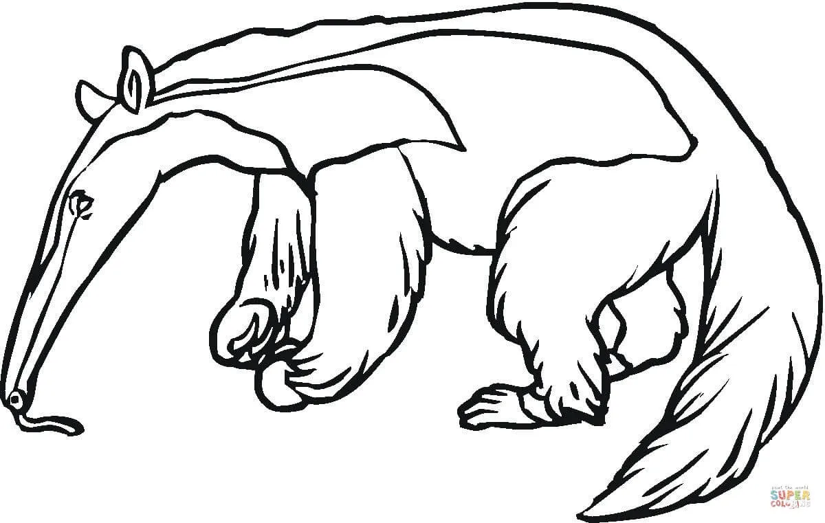 Dibujo de El Oso Hormiguero para colorear | Dibujos para colorear ... Dibujo de El Oso Hormiguero para colorear | Dibujos para colorear ...