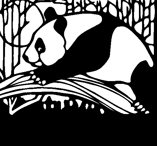 Dibujo de Oso panda comiendo para Colorear - Dibujos.net