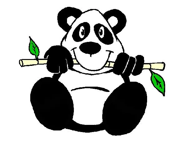 El oso panda,dibujos - Imagui