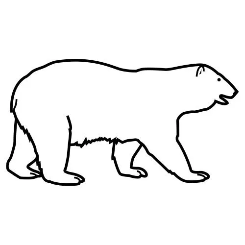 Dibujo de oso polar para colorear - Imagui