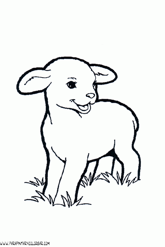 dibujos-de-ovejas-002