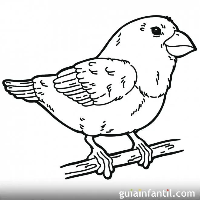 Dibujo de un pájaro en primavera para colorear - Primavera ...