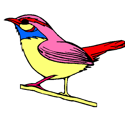 Dibujo de Pájaro silvestre pintado por Nestor en Dibujos.net el ...