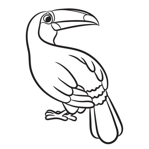 Dibujo de pájaro tucán. Página para colorear — Vector stock ...