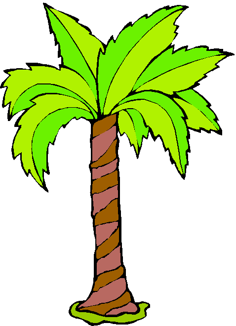 Dibujos de palmeras a color - Imagui