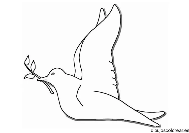 Dibujo de una paloma blanca con una ramita | Dibujos para Colorear