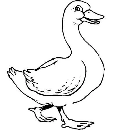 Dibujo de Pato. Dibujo para colorear de Pato. Dibujos infantiles ... Dibujo de Pato. Dibujo para colorear de Pato. Dibujos infantiles ...