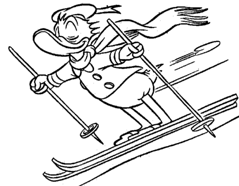Dibujo de El Pato Donal Esquiando para colorear | Dibujos para ...