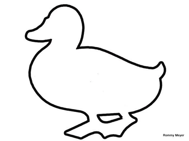 Dibujo sobre el pato - Imagui