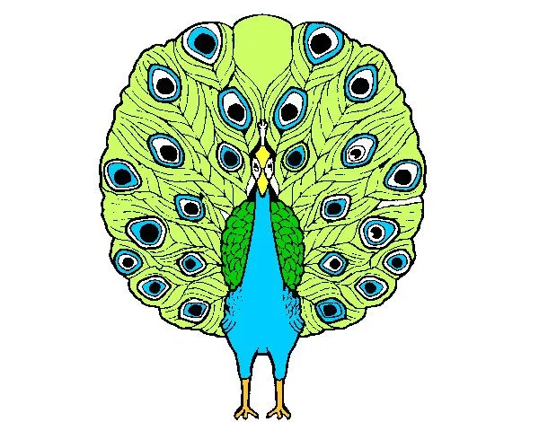 Dibujo de pavo real... pintado por Happyhappy en Dibujos.net el ...