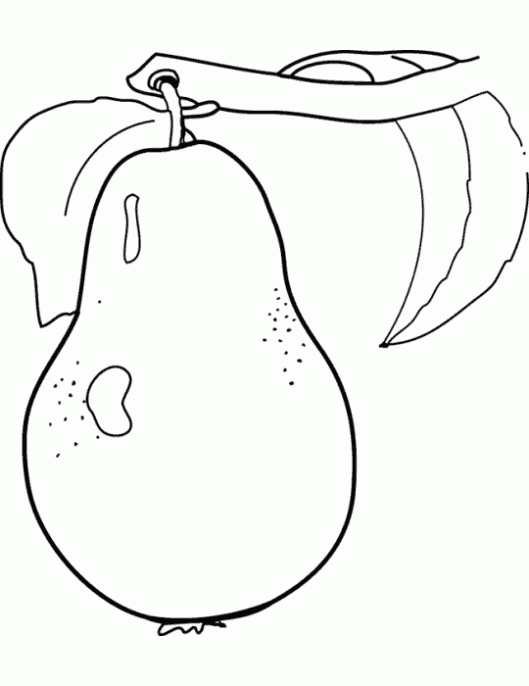 Dibujo de peras para dibujar - Imagui