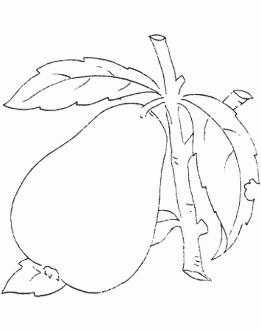 Dibujo de Pera en la rama para colorear. Dibujos infantiles de ... Dibujo de Pera en la rama para colorear. Dibujos infantiles de ...