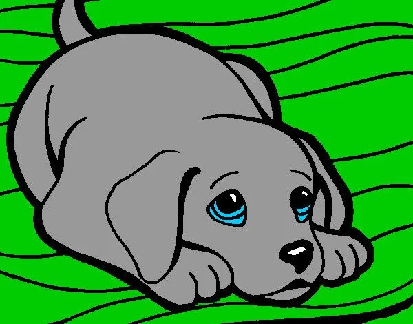 Dibujo de perrito tierno pintado por Thiagitoo en Dibujos.net el ...