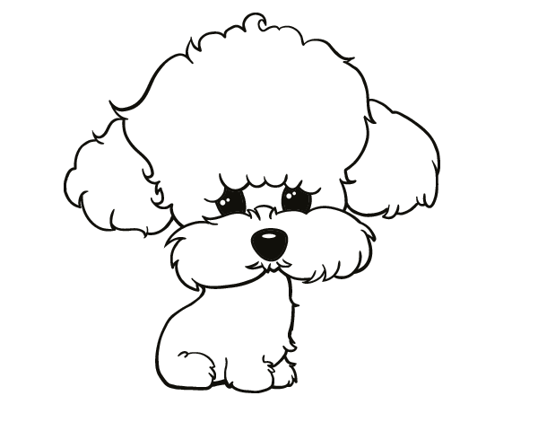 Dibujo de Cachorro de poodle para Colorear