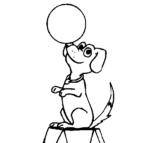 Dibujo de Perro de circo para Colorear - Dibujos.net