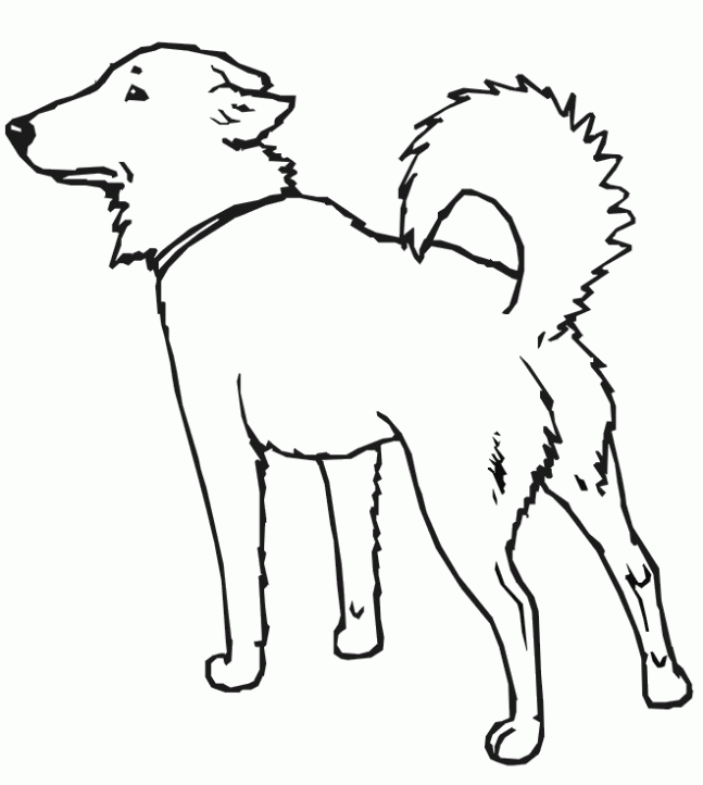 Dibujos de un perro para colorear - Imagui