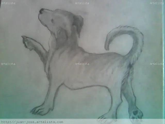 PERRO BOBI juan jose coll esplugues - Artelista. PERRO BOBI juan jose coll esplugues - Artelista.