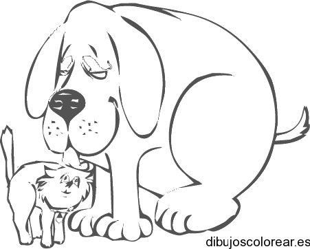 Dibujo de un perro y un tierno gato | Dibujos para Colorear